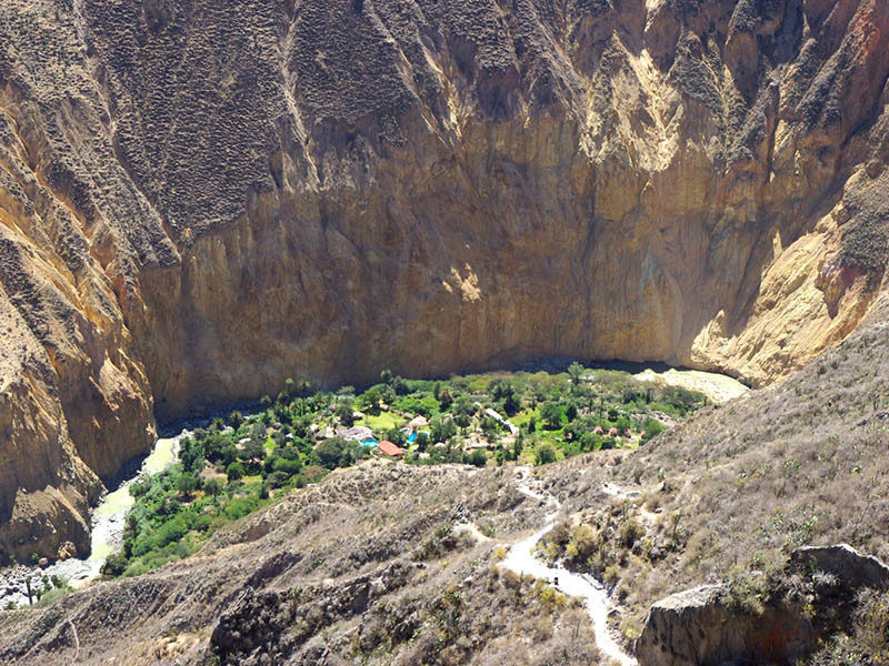 oaza v kanjonu Colca