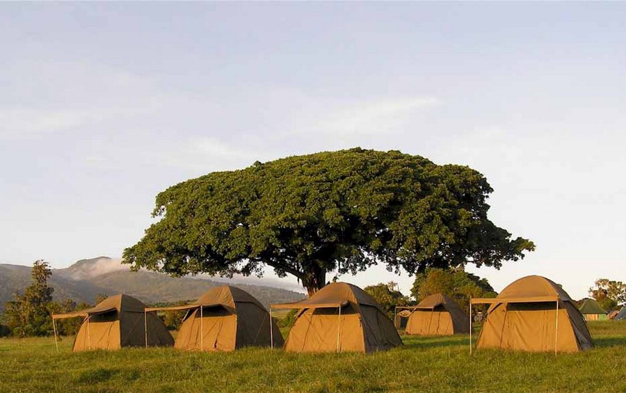 Simba-campsite