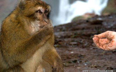 potovanja turistična agencija Char Avanture HUDA TURA ugodno in uživaško potovanje