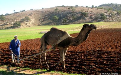 potovanja turistična agencija Char Avanture HUDA TURA ugodno in uživaško potovanje