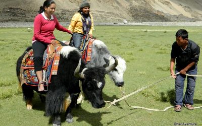 24.a_si_ze_zajahal_jaka