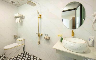 Dream Premium H&S (1)