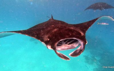 GX010177_1675748397505