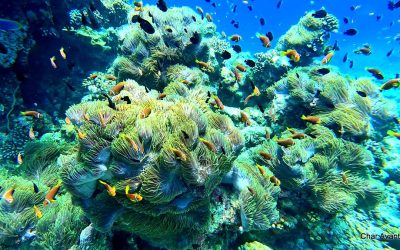 GX010324_1676014194897