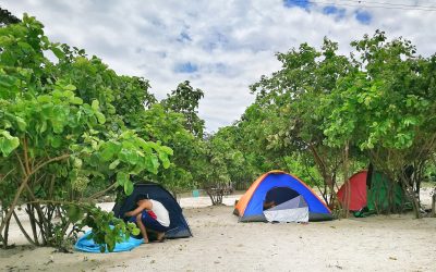 IMG_20170805_115711_1-01