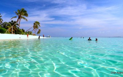 Maldivi Char (12)
