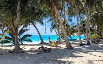 PXL_20250428_080149200