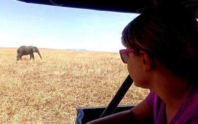 Potovanje Tanzanija & Zanzibar