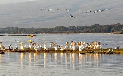 Potovanje Tanzanija & Zanzibar