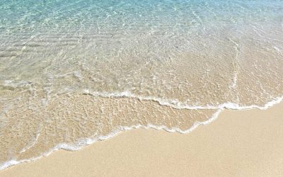 Potovanje Tanzanija & Zanzibar