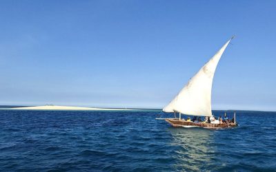 Potovanje Tanzanija & Zanzibar