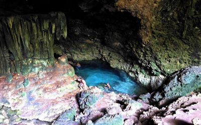 Potovanje Tanzanija & Zanzibar