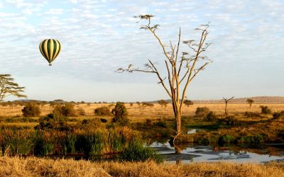 Potovanje Tanzanija & Zanzibar