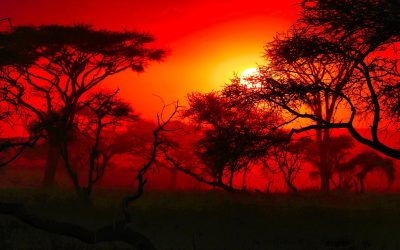 Potovanje Tanzanija & Zanzibar