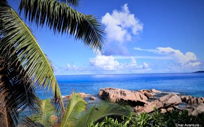 ANSE SOURCE D'ARGENT