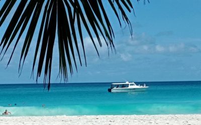 POTOVANJE SEJŠELI CHAR (2)