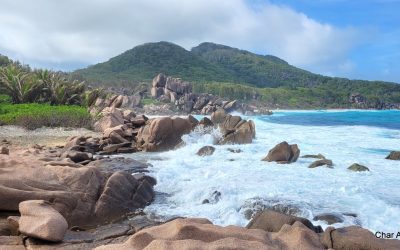 ANSE LAZIO