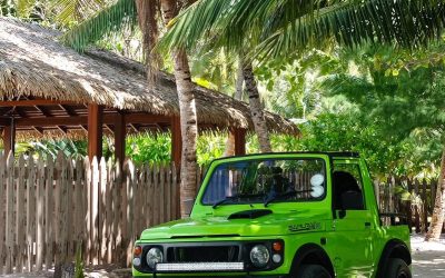 POTOVANJE SEJŠELI CHAR (7)