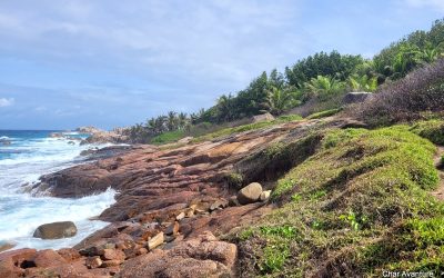 POTOVANJE SEJŠELI CHAR (9)