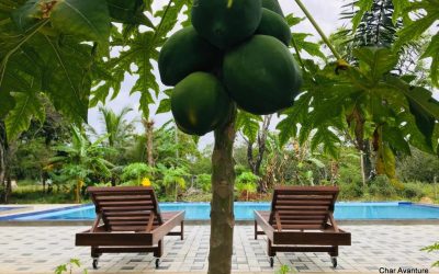 SIGIRIYA DARSHANI LODGE(9)