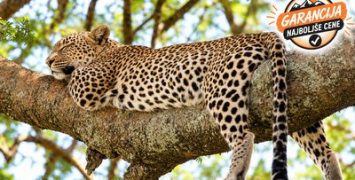 TANZANIJA_PRVA_GARANCIJA_NAJBOLJSE_CENE