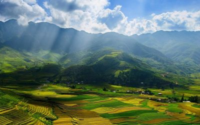 riževa_polja_Sapa