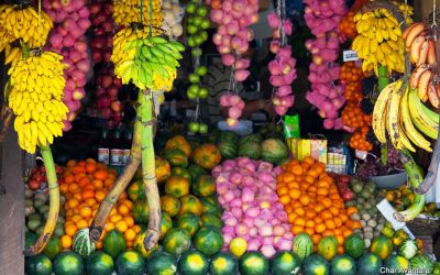 sri lanka potovanja ugodno char (1)