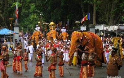 sri lanka potovanja ugodno char (13)