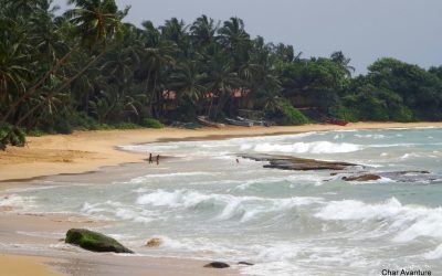 sri lanka potovanja ugodno char (15)