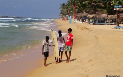 sri lanka potovanja ugodno char (16)