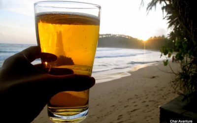 sri lanka potovanja ugodno char (3)