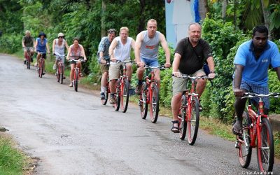 sri lanka potovanja ugodno char (5)