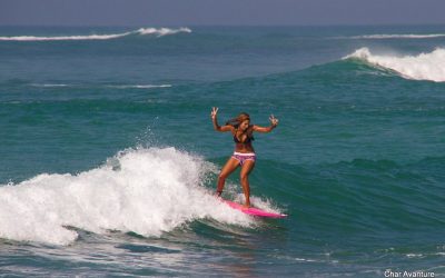 sri lanka potovanja ugodno char (6)