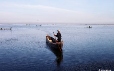 sri lanka potovanja ugodno char (8)